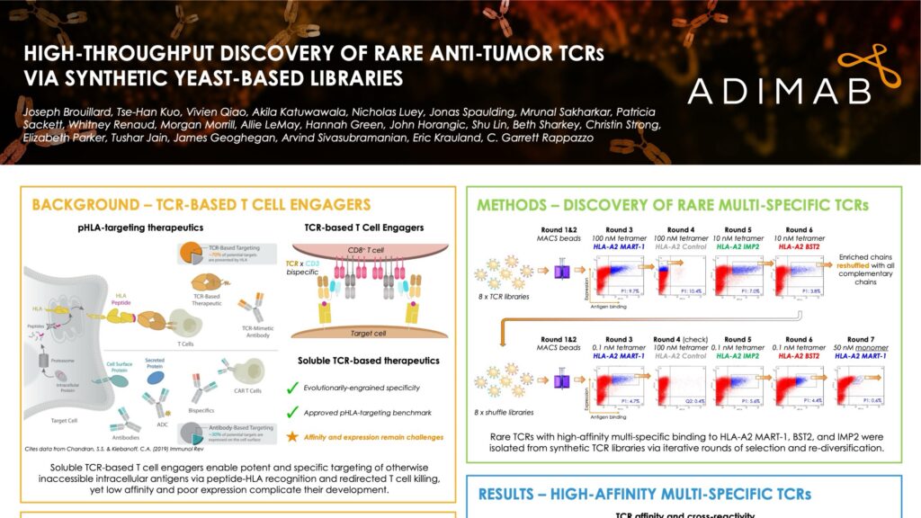 High-Throughput Discovery of Rare Anti-Tumor TCRs via Synthetic Yeast-Based Libraries