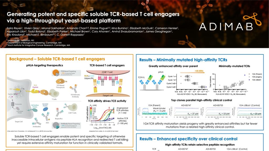Generating Potent and Specific Soluble TCR-based T Cell Engagers via a High-Throughput Yeast-Based Platform