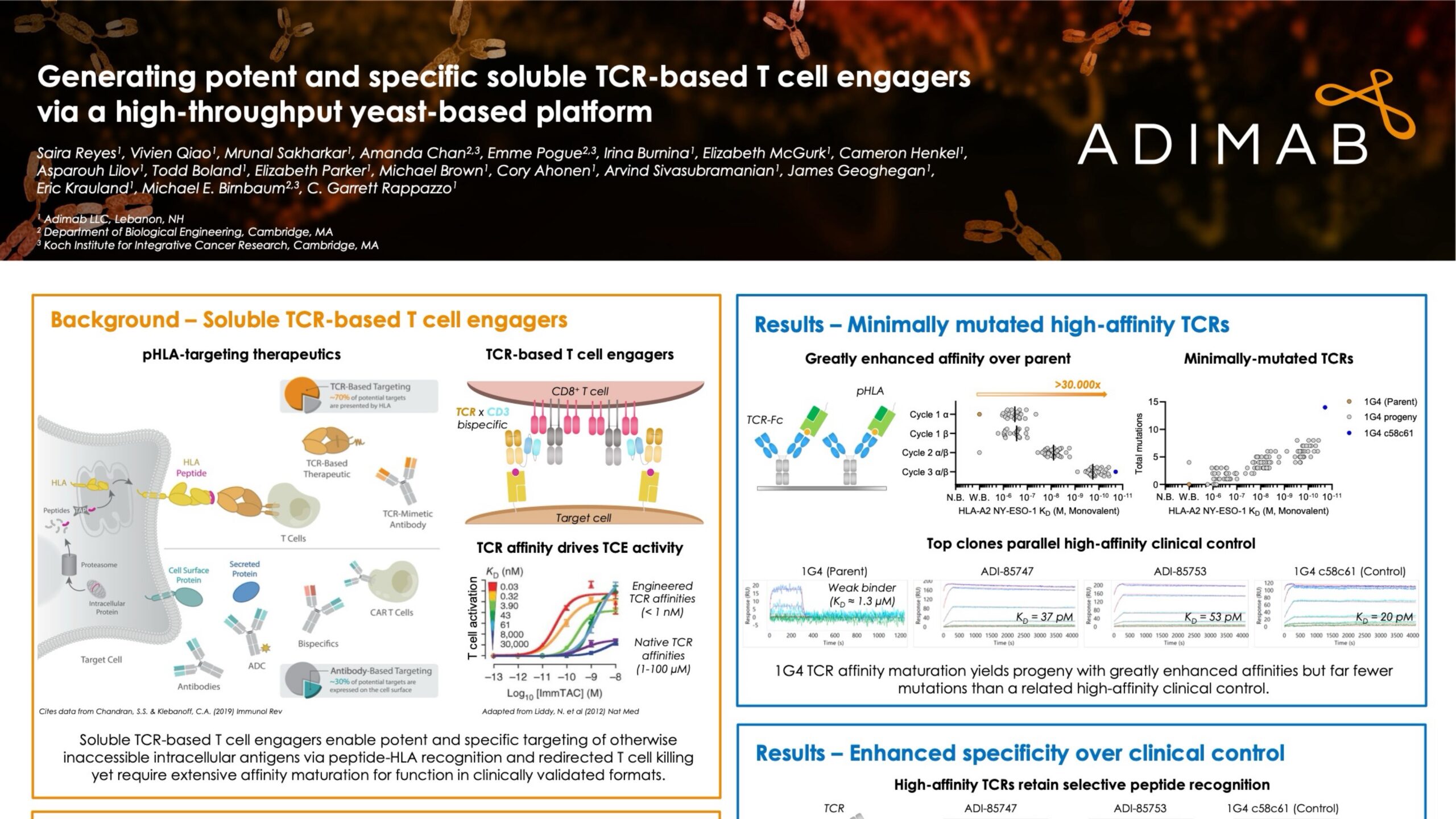 Generating Potent and Specific Soluble TCR-based T Cell Engagers via a High-Throughput Yeast-Based Platform