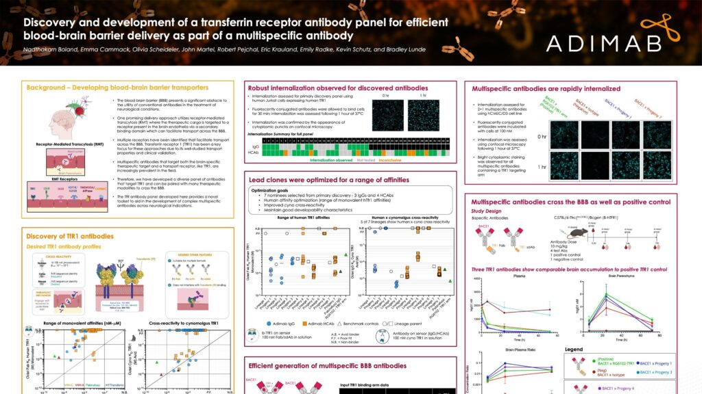 Discovery and Development of a Transferrin Receptor Antibody Panel for Efficient Blood-Brain Barrier Delivery as Part of a Multispecific Antibody