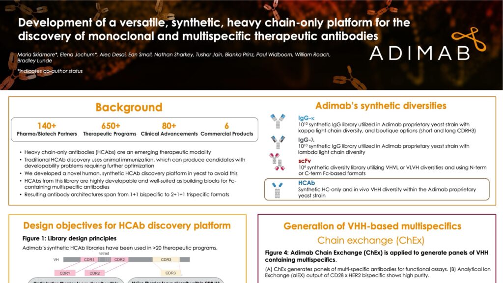 Development of a Versatile, Synthetic, Heavy Chain-Only Platform for the Discovery of Monoclonal and Multispecific Therapeutic Antibodies