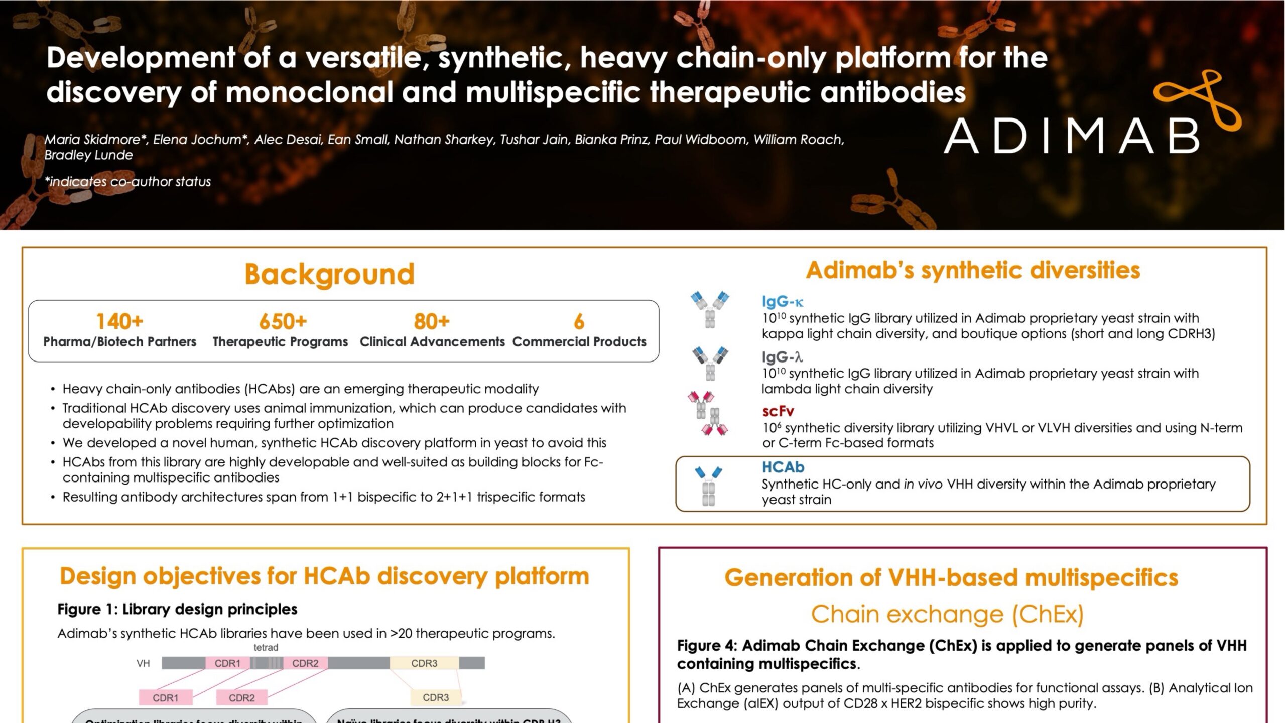 Development of a Versatile, Synthetic, Heavy Chain-Only Platform for the Discovery of Monoclonal and Multispecific Therapeutic Antibodies
