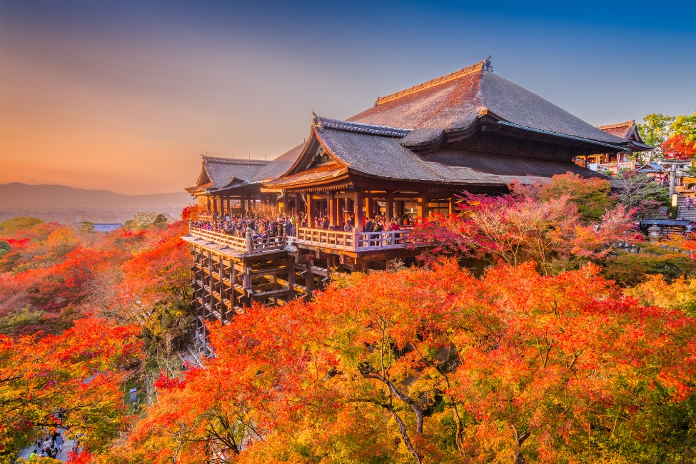 Antibody Engineering & Therapeutics Asia