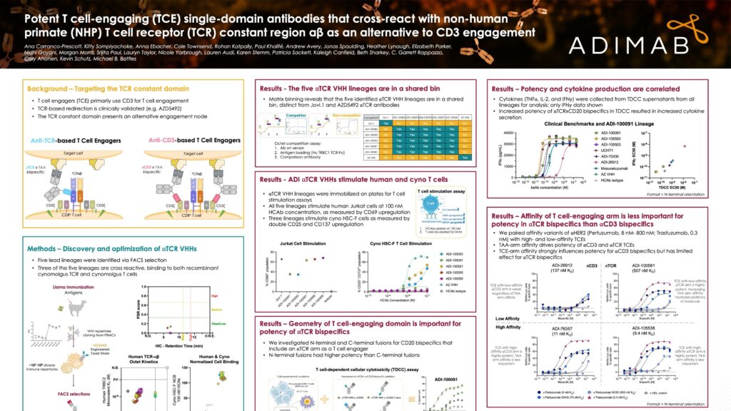 Anti-TCR Single Domain Antibodies