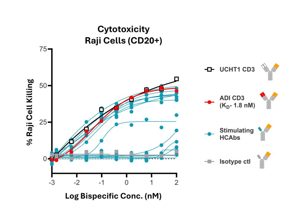 Graph showing variation in Raji cell killing with increasing bispecific antibody concentration for a variety of bispecifics