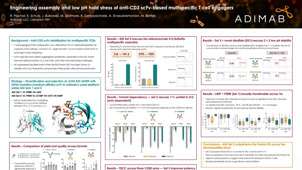 Engineering Assembly and Low pH Hold Stress of Anti-CD3 scFv-Based Multispecific T Cell Engagers